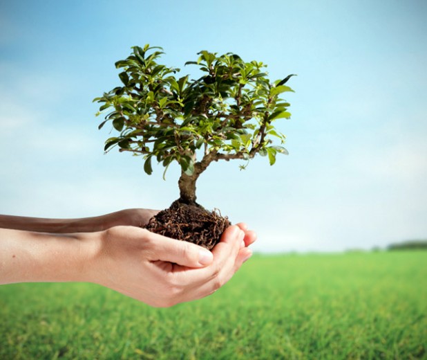 Plant a Tree GearCulture