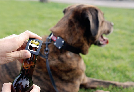 Bark 4 Beer Dog Collar Bottle Opener