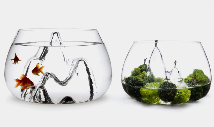 Fishcape Fishbowl