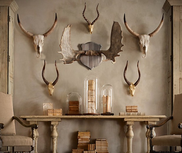 Restoration Hardware Horns & Antlers