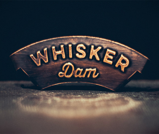 Whisker Dam