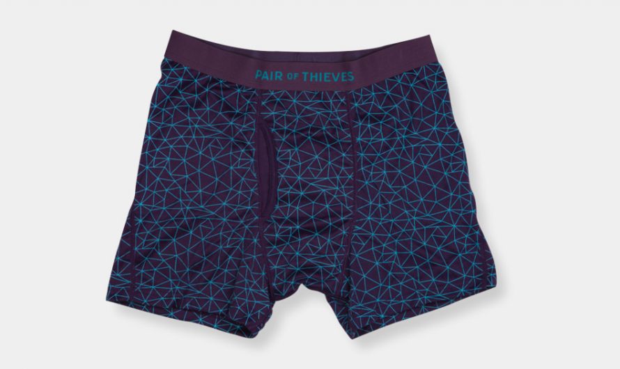 Pair of Thieves Underpants