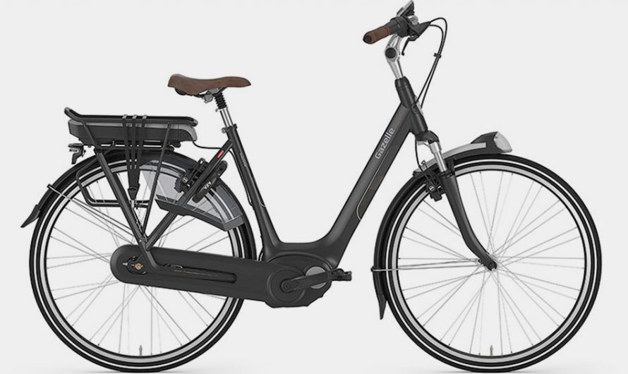 Gazelle Arroyo C8 HMB eBike