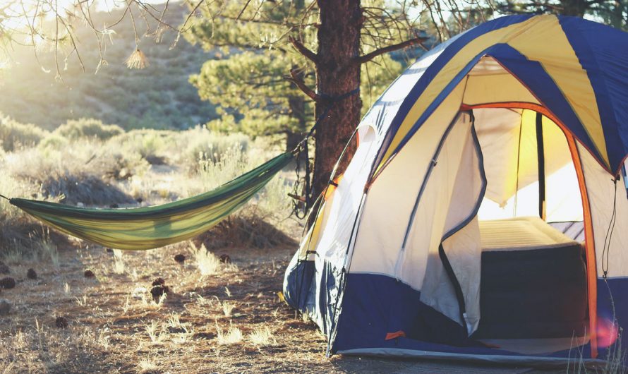 Essential Camping Gear to Camp in the Wild